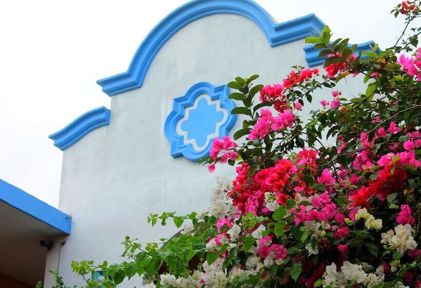 ホテル Hacienda Del Viejo