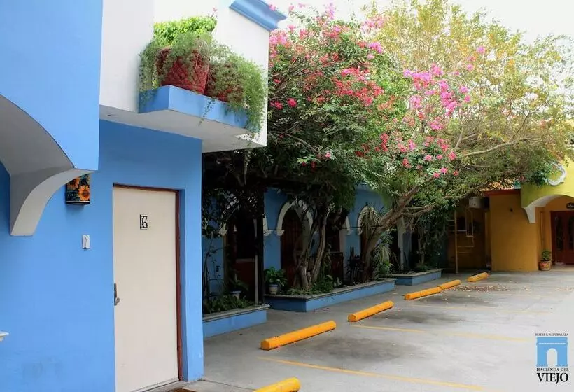 ホテル Hacienda Del Viejo