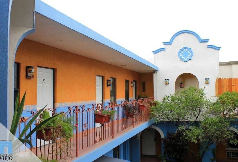 ホテル Hacienda Del Viejo