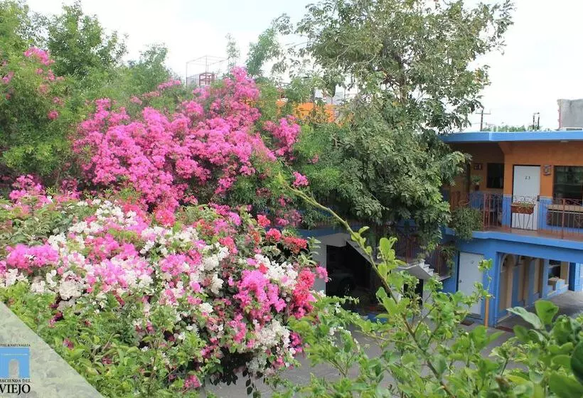 ホテル Hacienda Del Viejo
