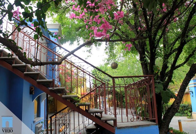 ホテル Hacienda Del Viejo