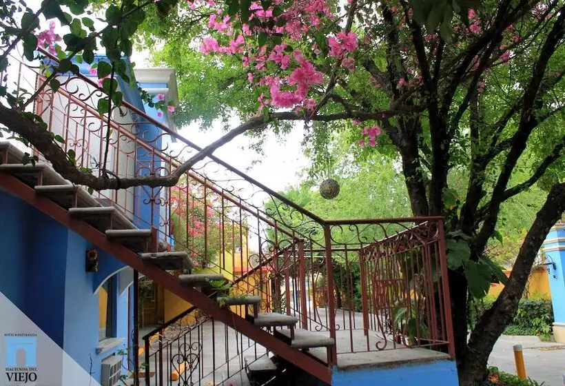 ホテル Hacienda Del Viejo