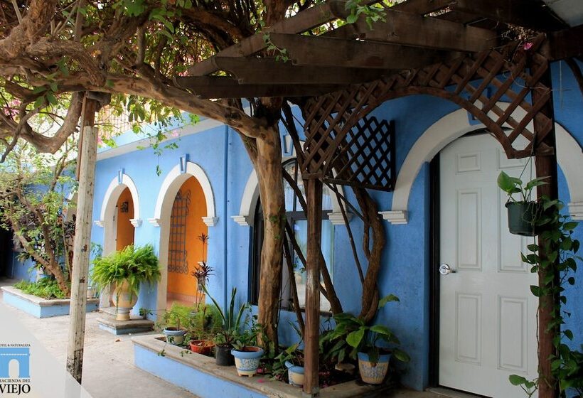 ホテル Hacienda Del Viejo