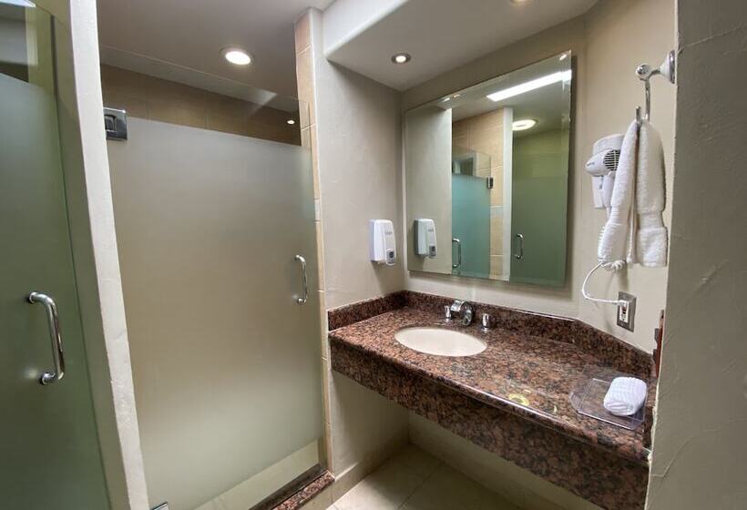 ホテル Hacienda Del Viejo