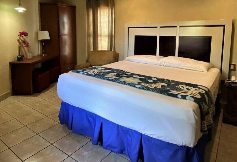 ホテル Hacienda Del Viejo