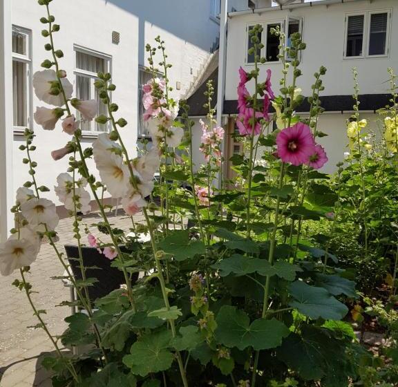 בית מלון כפרי Sandvig Havn