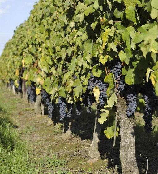 Отель Villa Héloïse Hôtel 3 étoiles