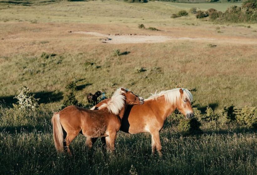 פנסיון Toppen Af Ebeltoft