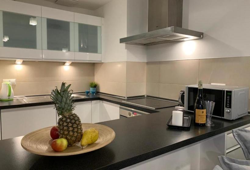 Vikamo Luxury Apartments By Wawel Castle