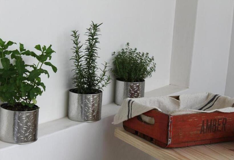 Bed and Breakfast Number5 Guesthouse