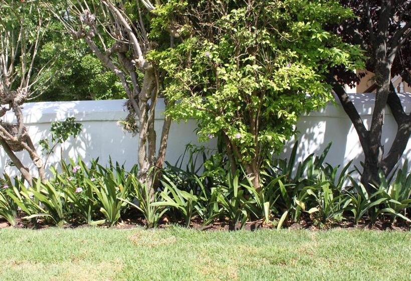 Bed and Breakfast Number5 Guesthouse