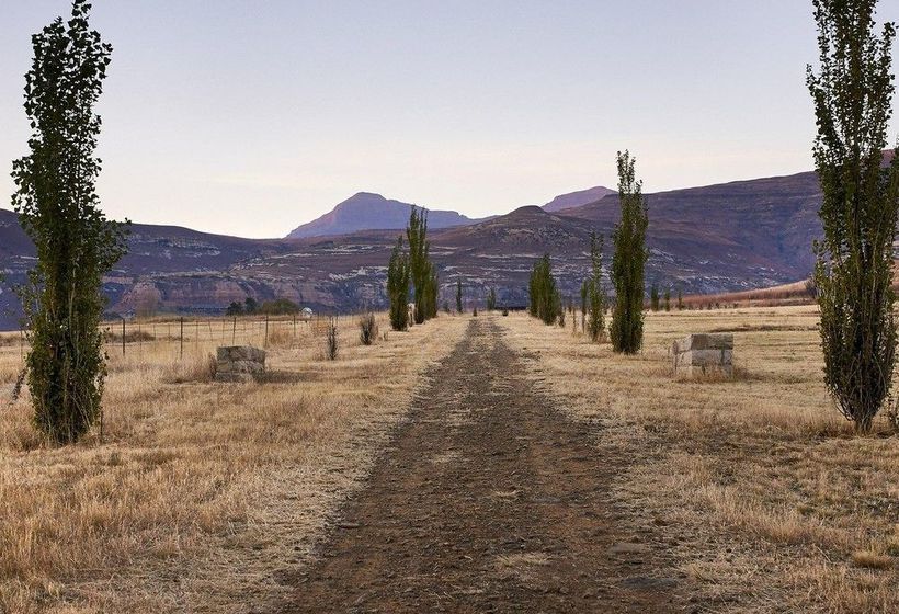 Dynasty Red Mountain Ranch