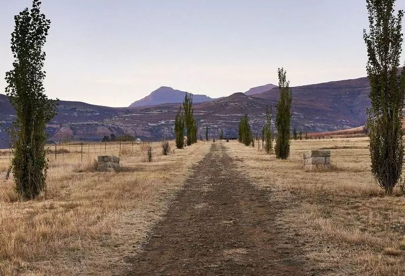 Dynasty Red Mountain Ranch
