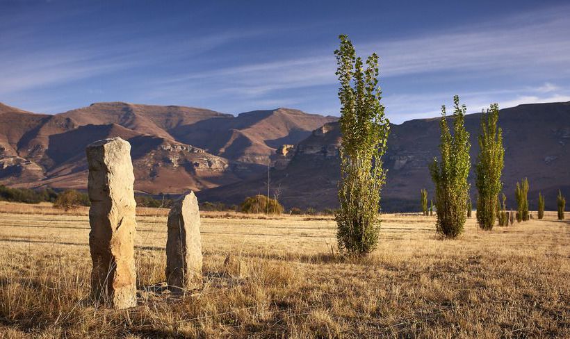 Dynasty Red Mountain Ranch