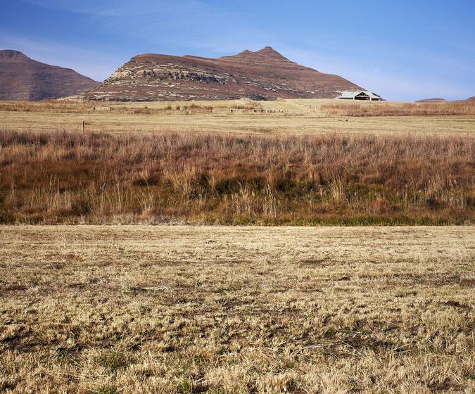 Dynasty Red Mountain Ranch