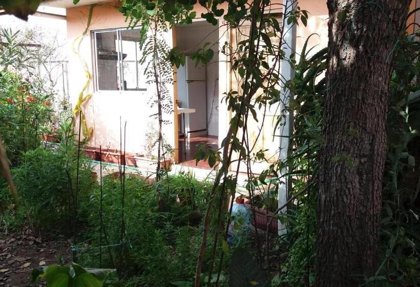 مسافرخانه Piezas Con Baño Privado Economicas