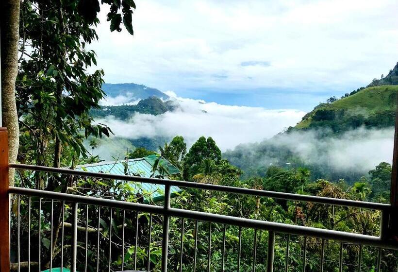 Hotell Ella Hide View