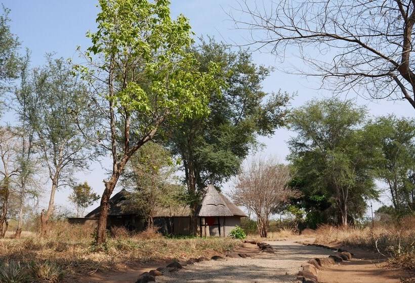 هتل Munga Eco Lodge