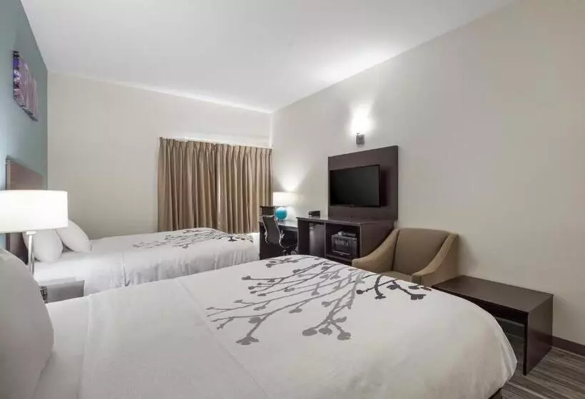 ホテル Sleep Inn & Suites