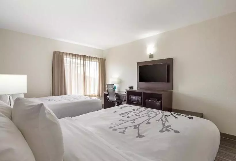 ホテル Sleep Inn & Suites