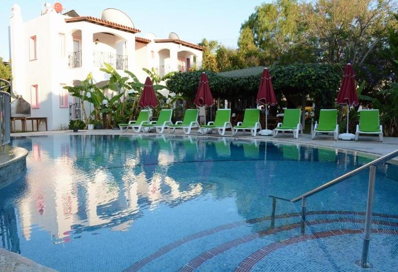 فندق Villa Nergis