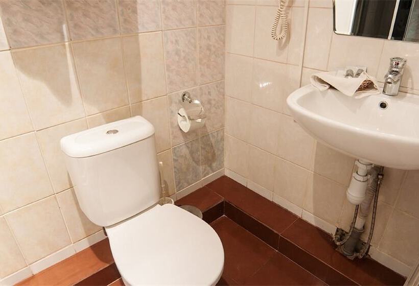 酒店 Vnukovo Village Guest House & Spa