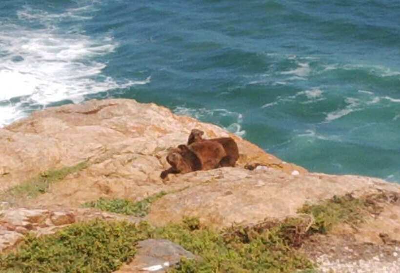 Pinnacle Point   Golf Safari Sa