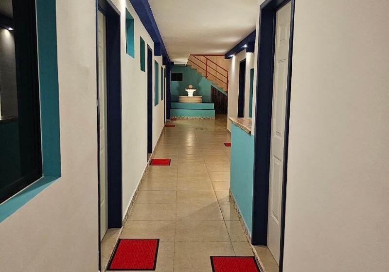 ホテル Linda Vecindad Playa Del Carmen