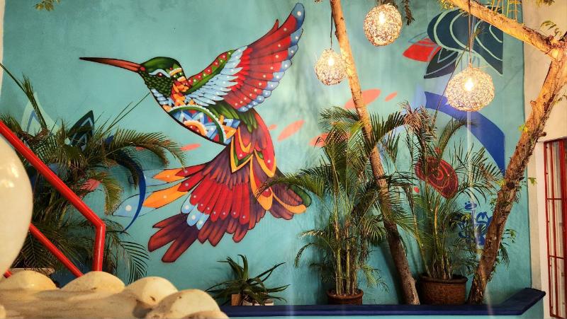 ホテル Linda Vecindad Playa Del Carmen