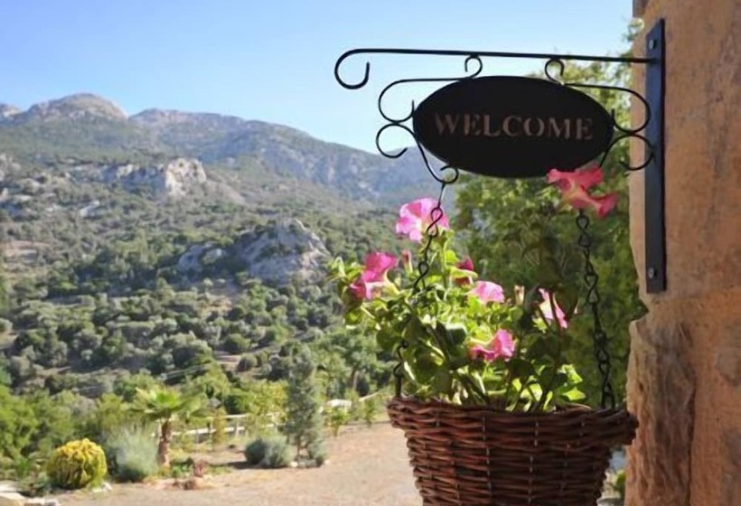 Akros Oreon Green Small