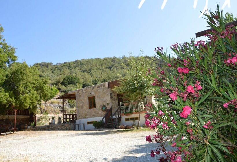 Akros Oreon Green Small