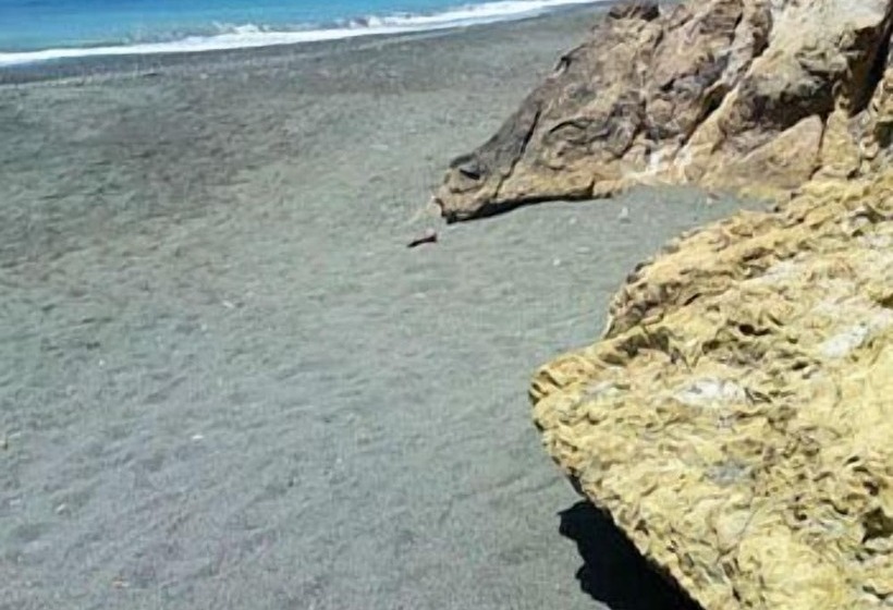 Akros Oreon Green Small