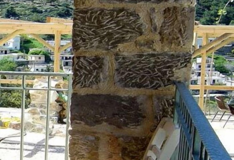 Akros Oreon Green Small