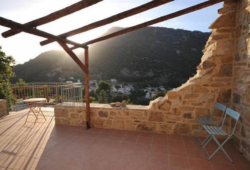 Akros Oreon Green Small