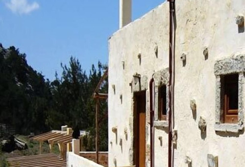 Akros Oreon Green Small