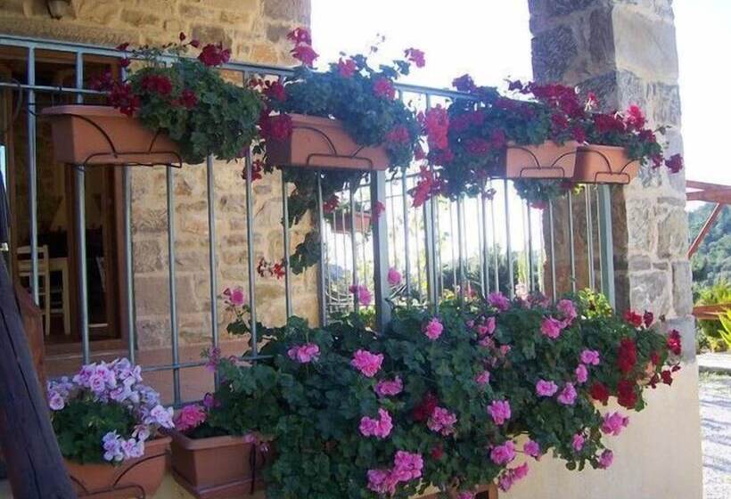 Akros Oreon Green Small