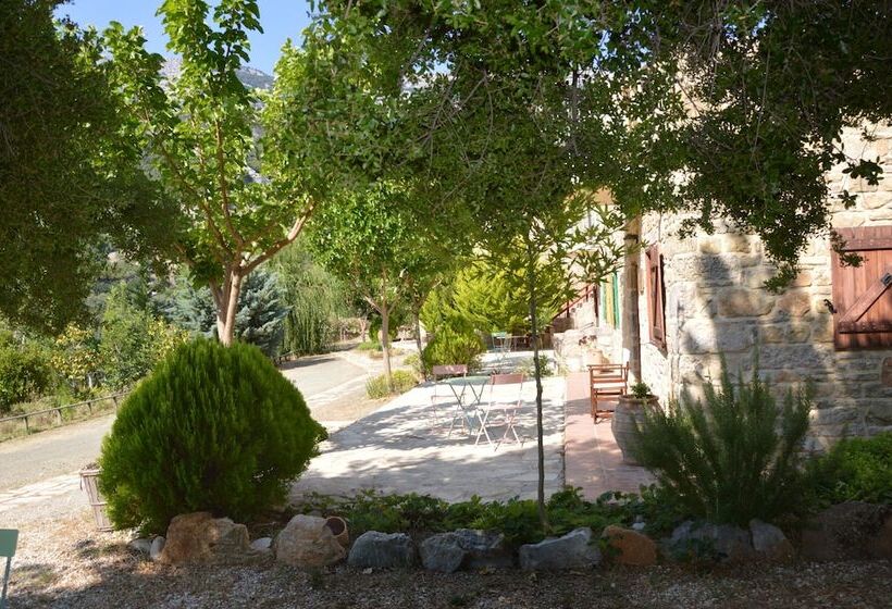 Akros Oreon Green Small