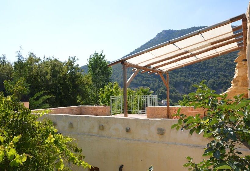 Akros Oreon Green Small