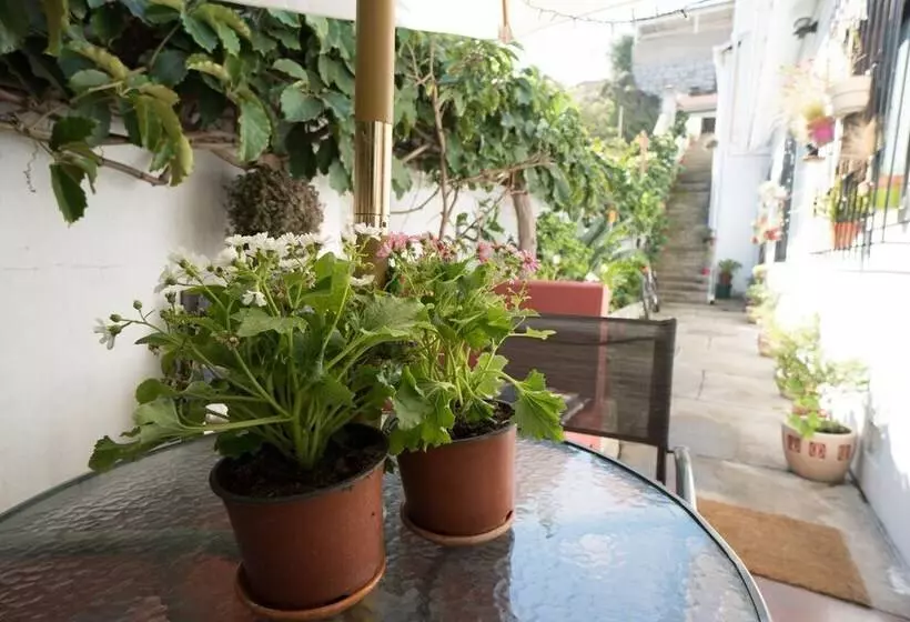 Hostal Recreo