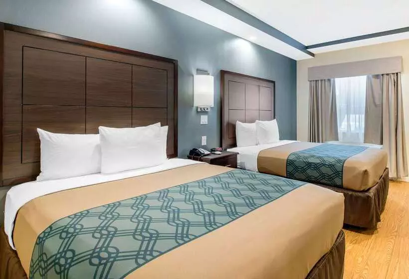 ホテル Econo Lodge Inn & Suites Houston Willowbrook