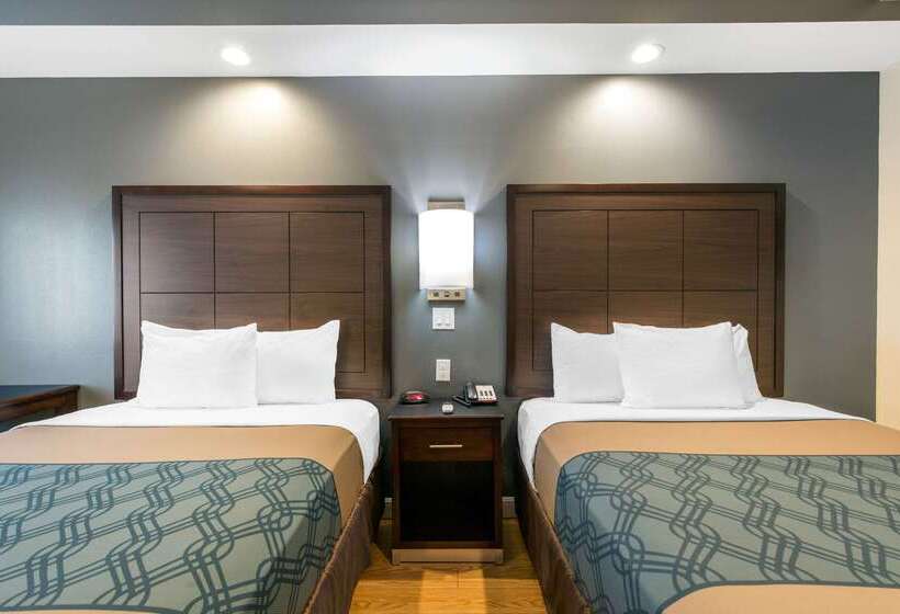 ホテル Econo Lodge Inn & Suites Houston Willowbrook