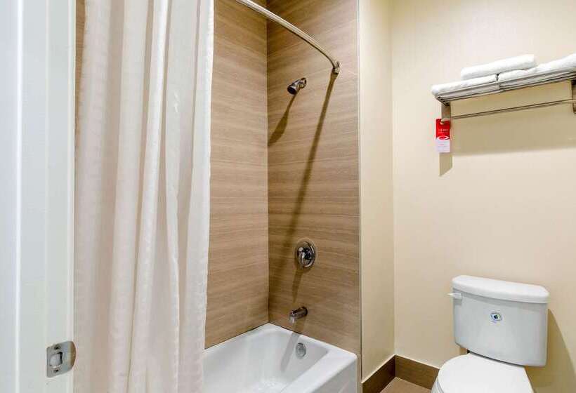 ホテル Econo Lodge Inn & Suites Houston Willowbrook