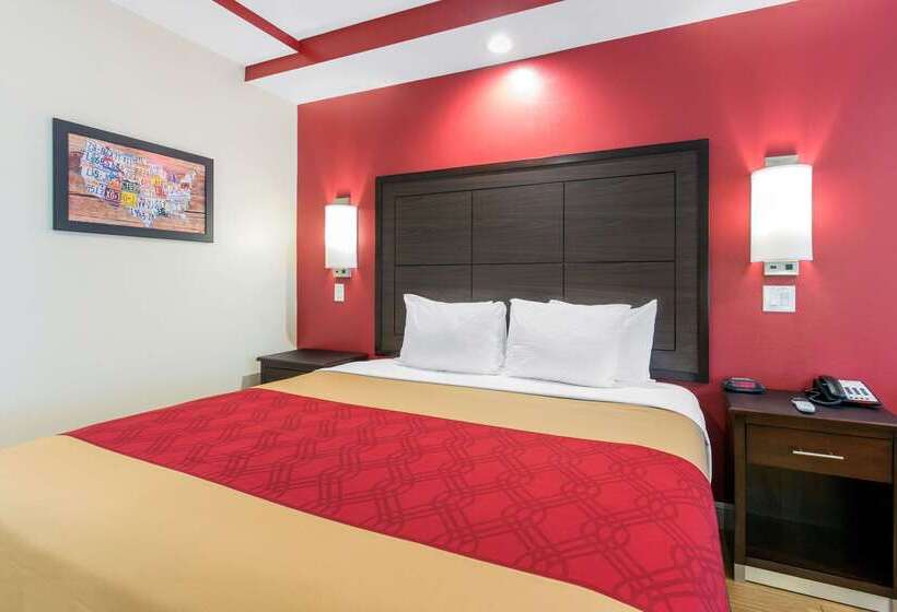 ホテル Econo Lodge Inn & Suites Houston Willowbrook