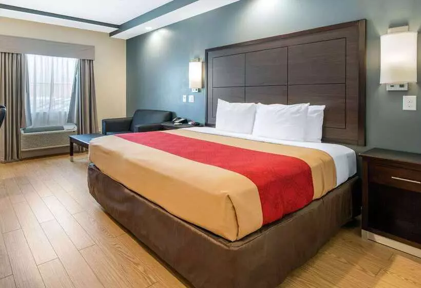 ホテル Econo Lodge Inn & Suites Houston Willowbrook