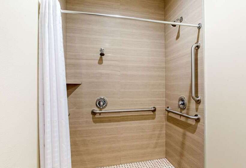 ホテル Econo Lodge Inn & Suites Houston Willowbrook