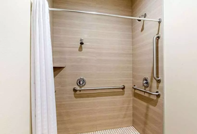 ホテル Econo Lodge Inn & Suites Houston Willowbrook