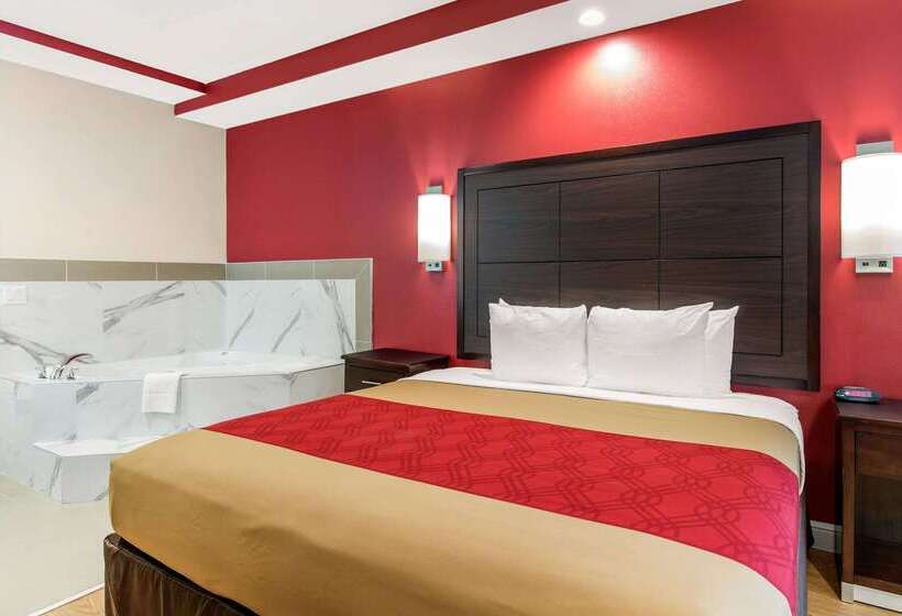 ホテル Econo Lodge Inn & Suites Houston Willowbrook