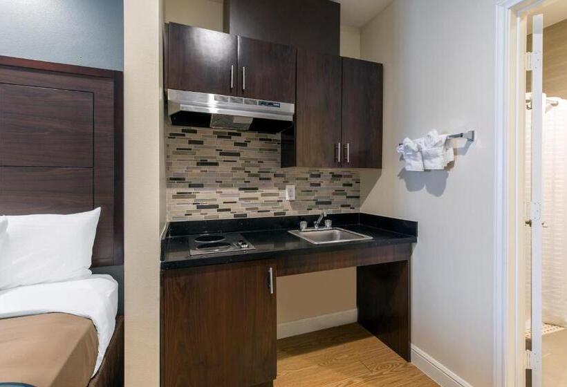 ホテル Econo Lodge Inn & Suites Houston Willowbrook