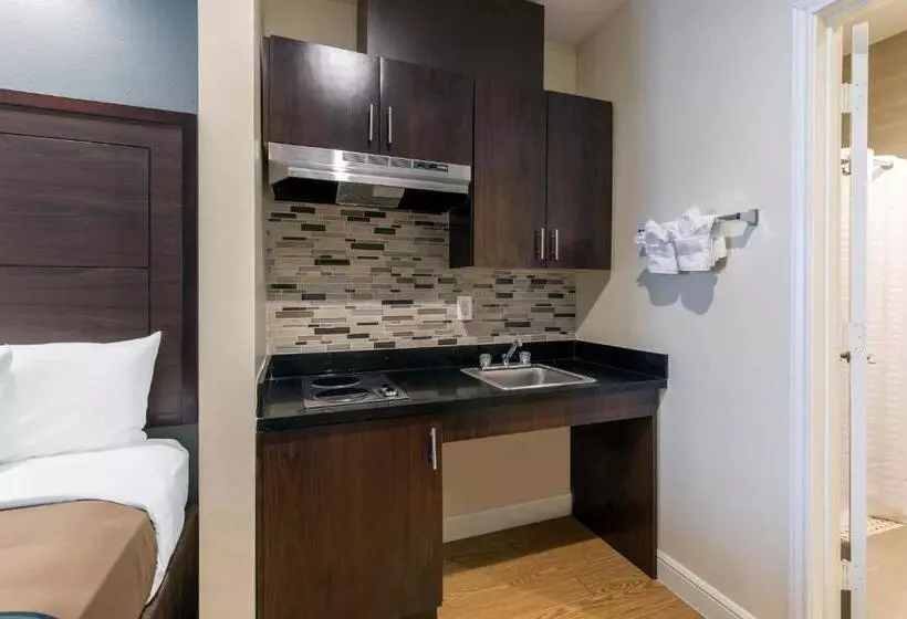 ホテル Econo Lodge Inn & Suites Houston Willowbrook