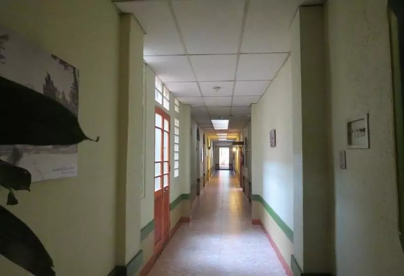 هتل Terracentro